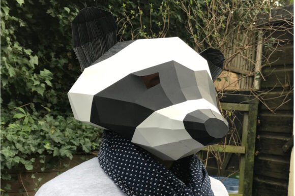 Download Raccoon Mask - Mask Collection
